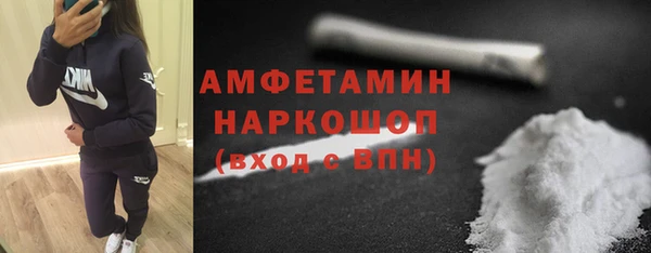 прущие грибы Алзамай