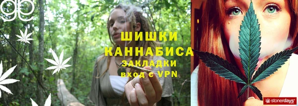 прущие грибы Алзамай