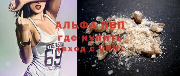 прущие грибы Алзамай
