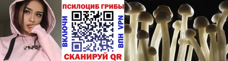 Псилоцибиновые грибы MAGIC MUSHROOMS  Киреевск 